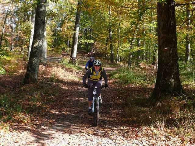 Etape Foret Fontainebleau Climb & Randonnees Arbonne Eksteriør bilde